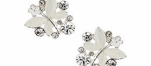 Dorothy Perkins Womens Butterfly Studs- White DP49815415