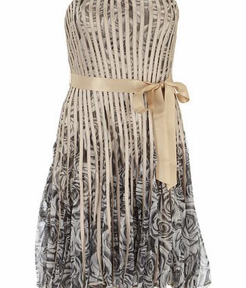 Dorothy Perkins Womens Chase 7 Beige Floral Ribbon Dress- White