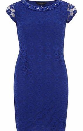 Dorothy Perkins Womens Colbalt Lace Pencil Dress- Cobalt