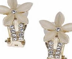 Dorothy Perkins Womens Flower Clip On Earrings- Cream DP49815858