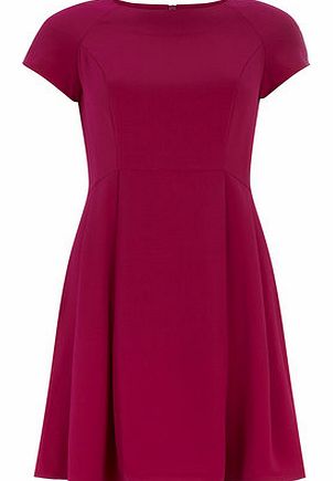 Dorothy Perkins Womens Fuchsia crepe fit and flare dress-