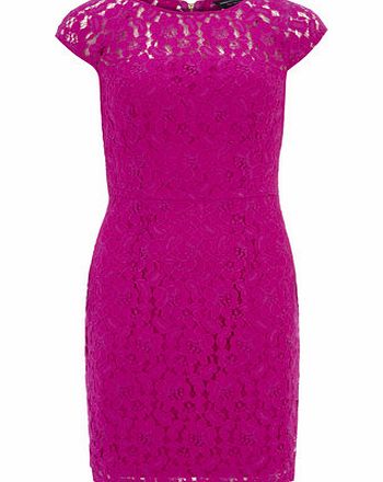 Womens Fuchsia pink Lace Pencil Dress- Fuchsia