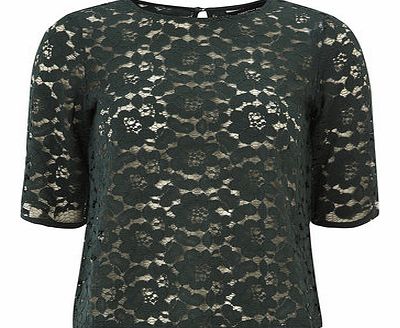 Dorothy Perkins Womens Green Scallop Lace Sleeve Top- Green