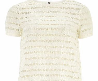 Dorothy Perkins Womens Ivory Stripe Lace Tee- White DP05473102