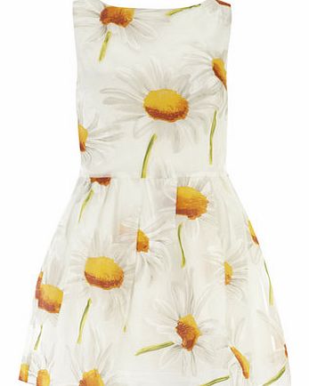 Dorothy Perkins Womens Jolie Moi Cream Floral Skater Dress-