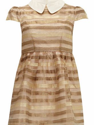 Dorothy Perkins Womens Jolie Moi Gold Stripe Jacquard Dress-