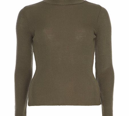 Dorothy Perkins Womens Khaki Turtle neck jumper- Green DP55122555