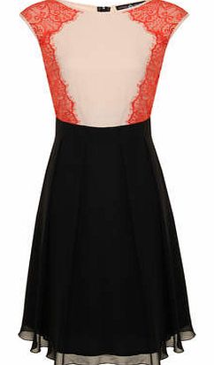 Dorothy Perkins Womens Little Mistress Lace Panel Contrast