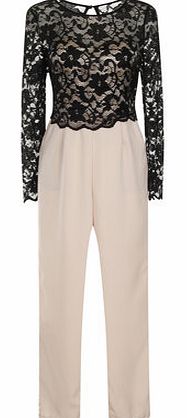 Dorothy Perkins Womens Little Mistress Petite Black and Cream