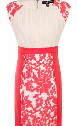 Dorothy Perkins Womens Little Mistress Petite Floral Flock Panel