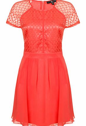 Dorothy Perkins Womens Little Mistress Watermelon Lace Skater