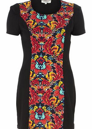 Dorothy Perkins Womens Madam rage Floral panel dress- Multi