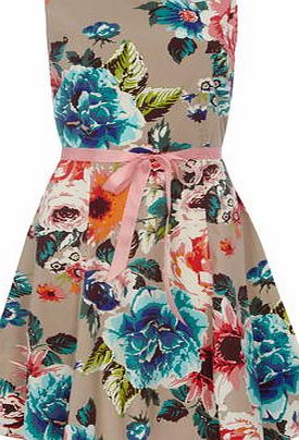 Dorothy Perkins Womens Mandi Multi Natural Watercolour Dress-
