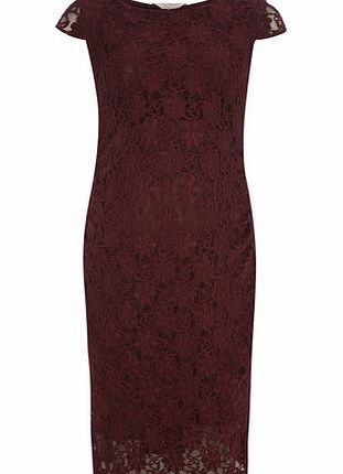 Dorothy Perkins Womens Maternity Berry lace bodycon dress- Red