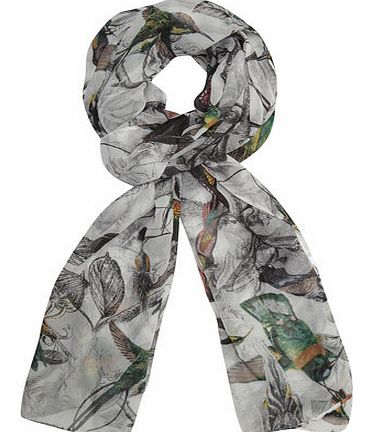 Dorothy Perkins Womens Multi Hummingbird Chiffon Scarf- Multi