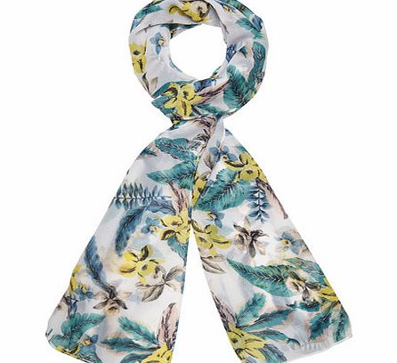 Dorothy Perkins Womens Multi Safari Small Chiffon Scarf- Multi