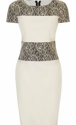 Dorothy Perkins Womens Paper Dolls Cream and Black Panel Dress-