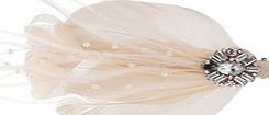 Dorothy Perkins Womens Peach Feather Hair Clip- Pink DP49815503