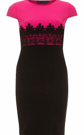 Dorothy Perkins Womens Petals Cerise Black Contrast Dress- Multi