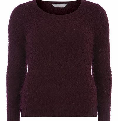 Dorothy Perkins Womens Petite Berry Red Pom Textured Jumper-