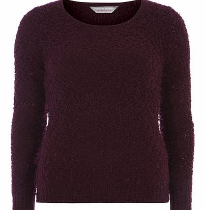 Dorothy Perkins Womens Petite Berry Red Pom Textured Jumper-