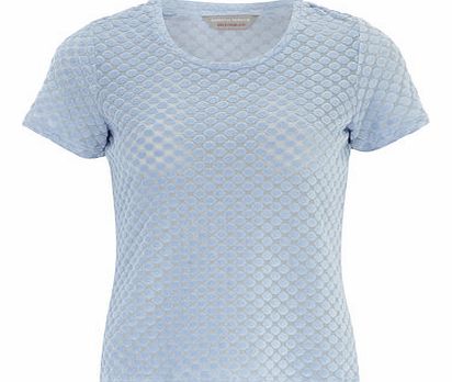 Dorothy Perkins Womens Petite blue burnout tee- Pale Blue