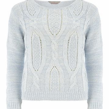 Dorothy Perkins Womens Petite cable front jumper- Blue DP79234520