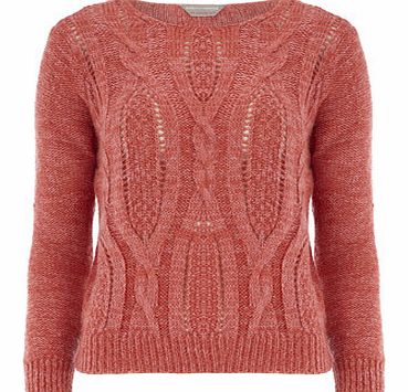 Dorothy Perkins Womens Petite cable front jumper- Coral DP79234516