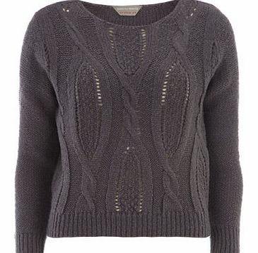 Dorothy Perkins Womens Petite cable front jumper- Grey DP79234563