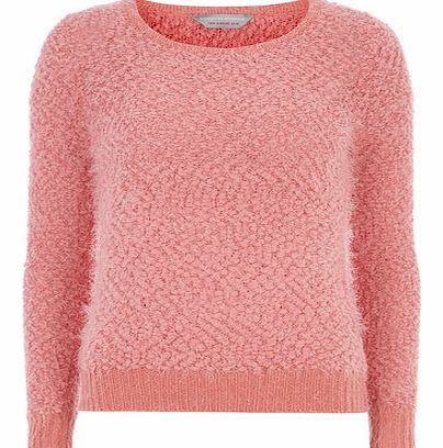 Dorothy Perkins Womens Petite coral pom textured jumper- Coral