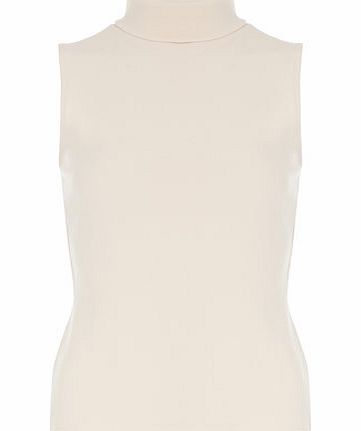 Dorothy Perkins Womens Petite crepe roll neck top- Pink DP79855415
