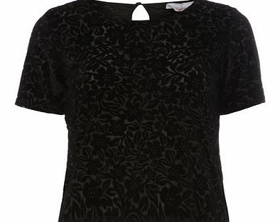 Dorothy Perkins Womens Petite devore burnout tee- Black DP79278201
