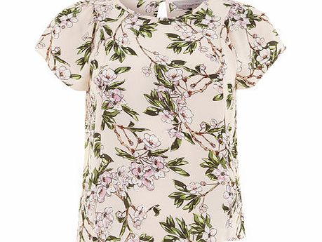 Dorothy Perkins Womens Petite floral popcorn top- Pink DP79288414