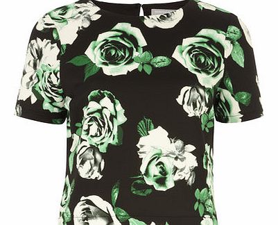 Dorothy Perkins Womens Petite floral scuba tee- Green DP79270701