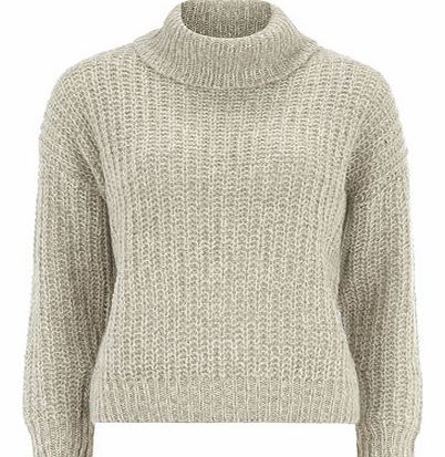 Dorothy Perkins Womens Petite grey roll neck jumper- Grey