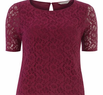 Dorothy Perkins Womens Petite lace sleeve tee- Pink DP79276912