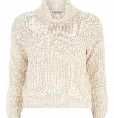 Dorothy Perkins Womens Petite nude roll neck jumper- Nude
