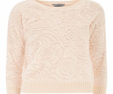 Dorothy Perkins Womens Petite rose faux fur jumper- Pink