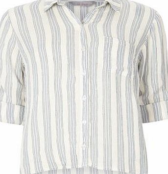 Dorothy Perkins Womens Petite stripe shirt- Blue DP79864823