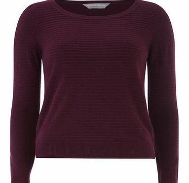 Dorothy Perkins Womens Petite stripe textured jumper- Wine