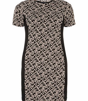 Dorothy Perkins Womens Pink panel pencil dress- Pink DP07261145