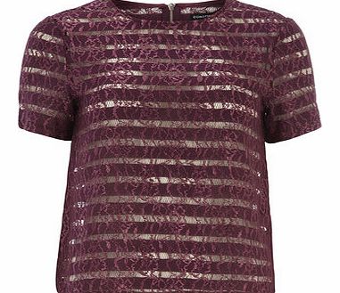 Dorothy Perkins Womens Plum Short Sleeve Lace Tee- Purple