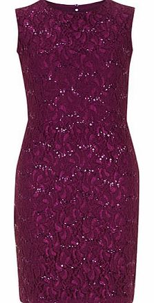 Dorothy Perkins Womens Rise Lace sequin dress- Black DP51001108