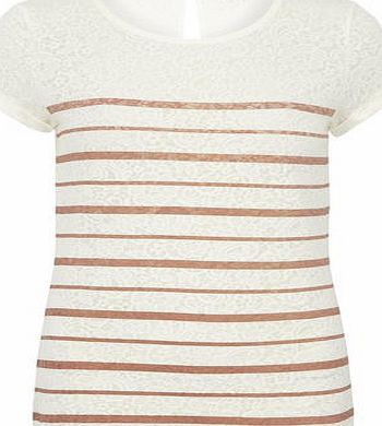 Dorothy Perkins Womens Rose Stripe Burnout Tee- Ivory DP56436755