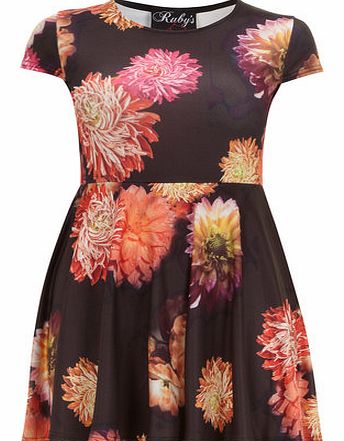 Dorothy Perkins Womens Ruby Closet Black Floral Skater Dress-