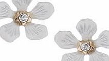 Dorothy Perkins Womens White Flower Studs- Black DP49815852