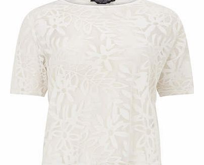 Dorothy Perkins Womens White Palm Burnout Tee- White DP05460020