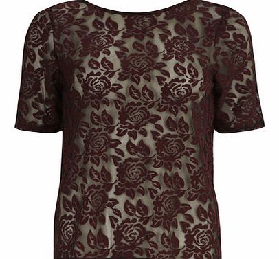 Dorothy Perkins Womens Wine Floral Burnout Tee- Red DP05481820