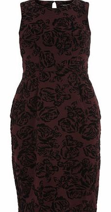 Dorothy Perkins Womens Wine red rose flocked pencil dress- Wine