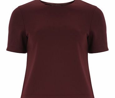 Dorothy Perkins Womens Wine Short Sleeve Tee- Red DP05466112
